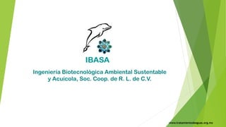 Ingeniería Biotecnológica Ambiental Sustentable
y Acuícola, Soc. Coop. de R. L. de C.V.
www.tratamientodeaguas.org.mx
 