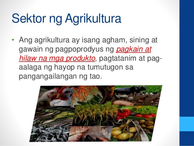 Iba't ibang sektor ng agrikultura