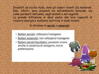 Invisibili ad occhio nudo, sono gli esseri viventi più numerosi.
Essi, infatti, sono presenti sia nell’ambiente naturale, sia
come parassiti nell’uomo, negli animali e nei vegetali.
La grande diffusione si deve anche alla loro capacità di
ricavare energia e sostanze nutritive in modi diversi.
Si dividono in aerobi e anaerobi
 