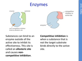 Enzymes
Substances can bind to an
enzyme outside of the
active site to inhibit its
effectiveness. This site is
called an allosteric site
and causes non-
competitive inhibition.
Higher
level
Competitive inhibition is
when a substance that is
not the target substrate
binds directly to the active
site.
 