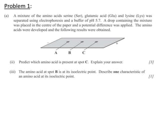 Problem 1:
 