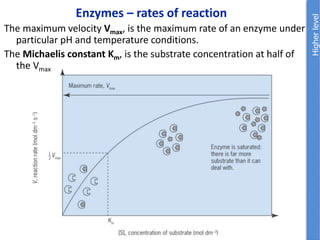 Enzymes – rates of reaction
The maximum velocity Vmax, is the maximum rate of an enzyme under
particular pH and temperature conditions.
The Michaelis constant Km, is the substrate concentration at half of
the Vmax
 