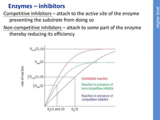 Competitive inhibitors – attach to the active site of the enzyme
preventing the substrate from doing so
Non-competitive inhibitors – attach to some part of the enzyme
thereby reducing its efficiency
Enzymes – inhibitors
 