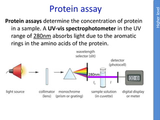 Protein assay
Higher
level
Protein assays determine the concentration of protein
in a sample. A UV-vis spectrophotometer in the UV
range of 280nm absorbs light due to the aromatic
rings in the amino acids of the protein.
 