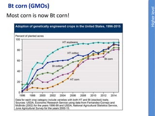 Bt corn (GMOs)
Most corn is now Bt corn!
 