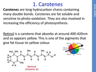 1. Carotenes
Carotenes are long hydrocarbon chains containing
many double bonds. Carotenes are fat soluble and
sensitive to photo-oxidation. They are also involved in
increasing the efficiency of photosynthesis.
Retinol is a carotene that absorbs at around 400-420nm
and so appears yellow. This is one of the pigments that
give fat tissue its yellow colour.
Higher
level
 