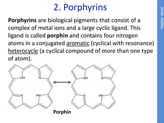 2. Porphyrins
Porphyrins are biological pigments that consist of a
complex of metal ions and a large cyclic ligand. This
ligand is called porphin and contains four nitrogen
atoms in a conjugated aromatic (cyclical with resonance)
heterocycle (a cyclical compound of more than one type
of atom).
Higher
level
Porphin
 
