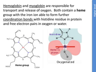Hemoglobin and myoglobin are responsible for
transport and release of oxygen. Both contain a heme
group with the iron ion able to form further
coordination bonds with histidine residue in protein
and free electron pairs in oxygen or water.
Higher
level
Heme group
 
