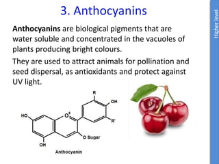 3. Anthocyanins
Anthocyanins are biological pigments that are
water soluble and concentrated in the vacuoles of
plants producing bright colours.
They are used to attract animals for pollination and
seed dispersal, as antioxidants and protect against
UV light.
Higher
level
 