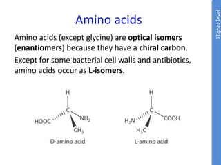 Amino acids
Amino acids (except glycine) are optical isomers
(enantiomers) because they have a chiral carbon.
Except for some bacterial cell walls and antibiotics,
amino acids occur as L-isomers.
Higher
level
 