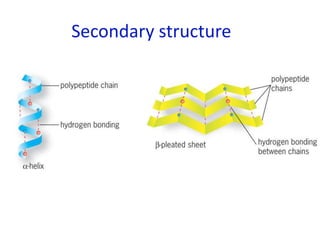 Secondary structure
 