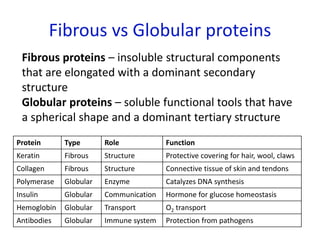 Fibrous vs Globular proteins
Protein Type Role Function
Keratin Fibrous Structure Protective covering for hair, wool, claws
Collagen Fibrous Structure Connective tissue of skin and tendons
Polymerase Globular Enzyme Catalyzes DNA synthesis
Insulin Globular Communication Hormone for glucose homeostasis
Hemoglobin Globular Transport O2 transport
Antibodies Globular Immune system Protection from pathogens
Fibrous proteins – insoluble structural components
that are elongated with a dominant secondary
structure
Globular proteins – soluble functional tools that have
a spherical shape and a dominant tertiary structure
 