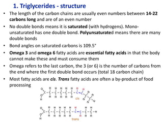 1. Triglycerides - structure
• The length of the carbon chains are usually even numbers between 14-22
carbons long and are of an even number
• No double bonds means it is saturated (with hydrogens). Mono-
unsaturated has one double bond. Polyunsaturated means there are many
double bonds
• Bond angles on saturated carbons is 109.5°
• Omega 3 and omega 6 fatty acids are essential fatty acids in that the body
cannot make these and must consume them
• Omega refers to the last carbon, the 3 (or 6) is the number of carbons from
the end where the first double bond occurs (total 18 carbon chain)
• Most fatty acids are cis. Trans fatty acids are often a by-product of food
processing
 