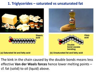 1. Triglycerides – saturated vs unsaturated fat
The kink in the chain caused by the double bonds means less
effective Van der Waals forces hence lower melting points –
cf. fat (solid) to oil (lquid) above.
 