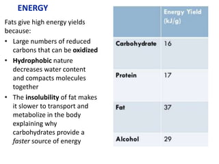 ENERGY
Fats give high energy yields
because:
• Large numbers of reduced
carbons that can be oxidized
• Hydrophobic nature
decreases water content
and compacts molecules
together
• The insolubility of fat makes
it slower to transport and
metabolize in the body
explaining why
carbohydrates provide a
faster source of energy
 