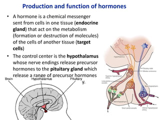 Production and function of hormones
• A hormone is a chemical messenger
sent from cells in one tissue (endocrine
gland) that act on the metabolism
(formation or destruction of molecules)
of the cells of another tissue (target
cells)
• The control center is the hypothalamus
whose nerve endings release precursor
hormones to the pituitary gland which
release a range of precursor hormones
to target organs around the body.
 