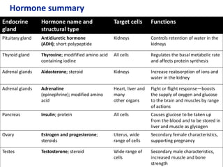 Hormone summary
Endocrine
gland
Hormone name and
structural type
Target cells Functions
Pituitary gland Antidiuretic hormone
(ADH); short polypeptide
Kidneys Controls retention of water in the
kidneys
Thyroid gland Thyroxine; modifified amino acid
containing iodine
All cells Regulates the basal metabolic rate
and affects protein synthesis
Adrenal glands Aldosterone; steroid Kidneys Increase reabsorption of ions and
water in the kidney
Adrenal glands Adrenaline
(epinephrine); modified amino
acid
Heart, liver and
many
other organs
Fight or flight response—boosts
the supply of oxygen and glucose
to the brain and muscles by range
of actions
Pancreas Insulin; protein All cells Causes glucose to be taken up
from the blood and to be stored in
liver and muscle as glycogen
Ovary Estrogen and progesterone;
steroids
Uterus, wide
range of cells
Secondary female characteristics,
supporting pregnancy
Testes Testosterone; steroid Wide range of
cells
Secondary male characteristics,
increased muscle and bone
strength
 