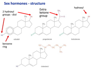 Extra
ketone
group
Sex hormones - structure
2 hydroxyl
groups - diol
benzene
ring
hydroxyl
 