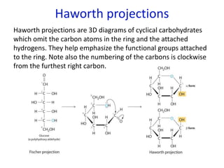 Haworth projections
Haworth projections are 3D diagrams of cyclical carbohydrates
which omit the carbon atoms in the ring and the attached
hydrogens. They help emphasize the functional groups attached
to the ring. Note also the numbering of the carbons is clockwise
from the furthest right carbon.
 