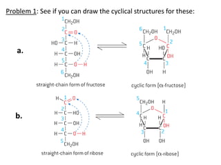 Problem 1: See if you can draw the cyclical structures for these:
a.
b.
 
