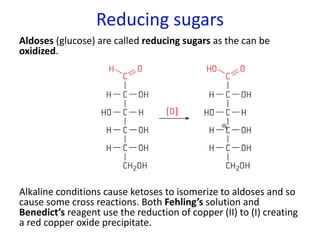 Reducing sugars
Aldoses (glucose) are called reducing sugars as the can be
oxidized.
Alkaline conditions cause ketoses to isomerize to aldoses and so
cause some cross reactions. Both Fehling’s solution and
Benedict’s reagent use the reduction of copper (II) to (I) creating
a red copper oxide precipitate.
 