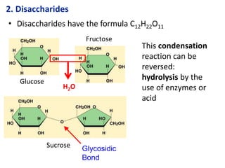 Glucose
Fructose
H2O
2. Disaccharides
Sucrose Glycosidic
Bond
• Disaccharides have the formula C12H22O11
This condensation
reaction can be
reversed:
hydrolysis by the
use of enzymes or
acid
 