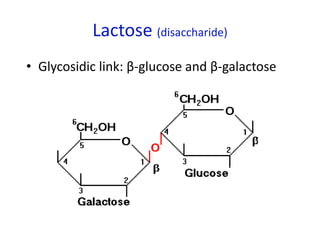 Lactose (disaccharide)
• Glycosidic link: β-glucose and β-galactose
 