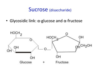 Sucrose (disaccharide)
• Glycosidic link: α-glucose and α-fructose
 