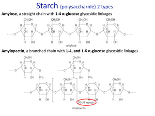 Starch (polysaccharide) 2 types
Amylose, a straight chain with 1-4 α-glucose glycosidic linkages
Amylopectin, a branched chain with 1-4, and 1-6 α-glucose glycosidic linkages
 