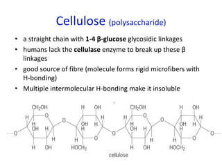 Cellulose (polysaccharide)
• a straight chain with 1-4 β-glucose glycosidic linkages
• humans lack the cellulase enzyme to break up these β
linkages
• good source of fibre (molecule forms rigid microfibers with
H-bonding)
• Multiple intermolecular H-bonding make it insoluble
 