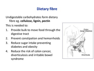 Dietary fibre
Undigestable carbohydrates form dietary
fibre eg. cellulose, lignin, pectin
This is needed to:
1. Provide bulk to move food through the
digestive tract
2. Prevent constipation and hemorrhoids
3. Reduce sugar intake preventing
diabetes and obesity
4. Reduce the risk of colon cancer,
diverticulosis and irritable bowel
syndrome
 