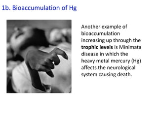 1b. Bioaccumulation of Hg
Another example of
bioaccumulation
increasing up through the
trophic levels is Minimata
disease in which the
heavy metal mercury (Hg)
affects the neurological
system causing death.
 