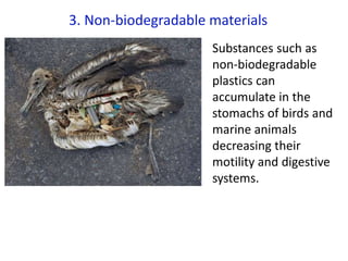 3. Non-biodegradable materials
Substances such as
non-biodegradable
plastics can
accumulate in the
stomachs of birds and
marine animals
decreasing their
motility and digestive
systems.
 
