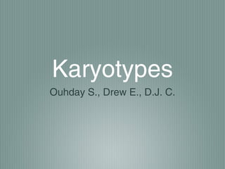 Karyotypes
Ouhday S., Drew E., D.J. C.
 