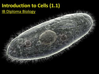 Introduction to Cells (1.1)
IB Diploma Biology
 