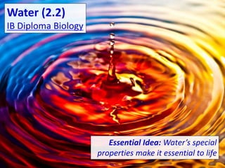 Water (2.2)
IB Diploma Biology
Essential Idea: Water’s special
properties make it essential to life
 