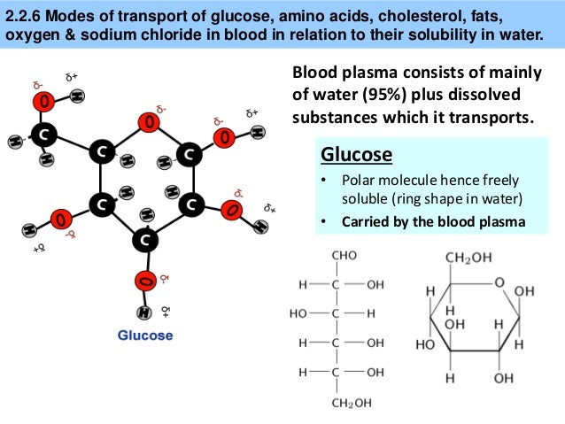 IB Biology 2.2 Slides Water