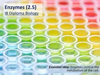 Enzymes (2.5)
IB Diploma Biology
Essential Idea: Enzymes control the
metabolism of the cell.
 