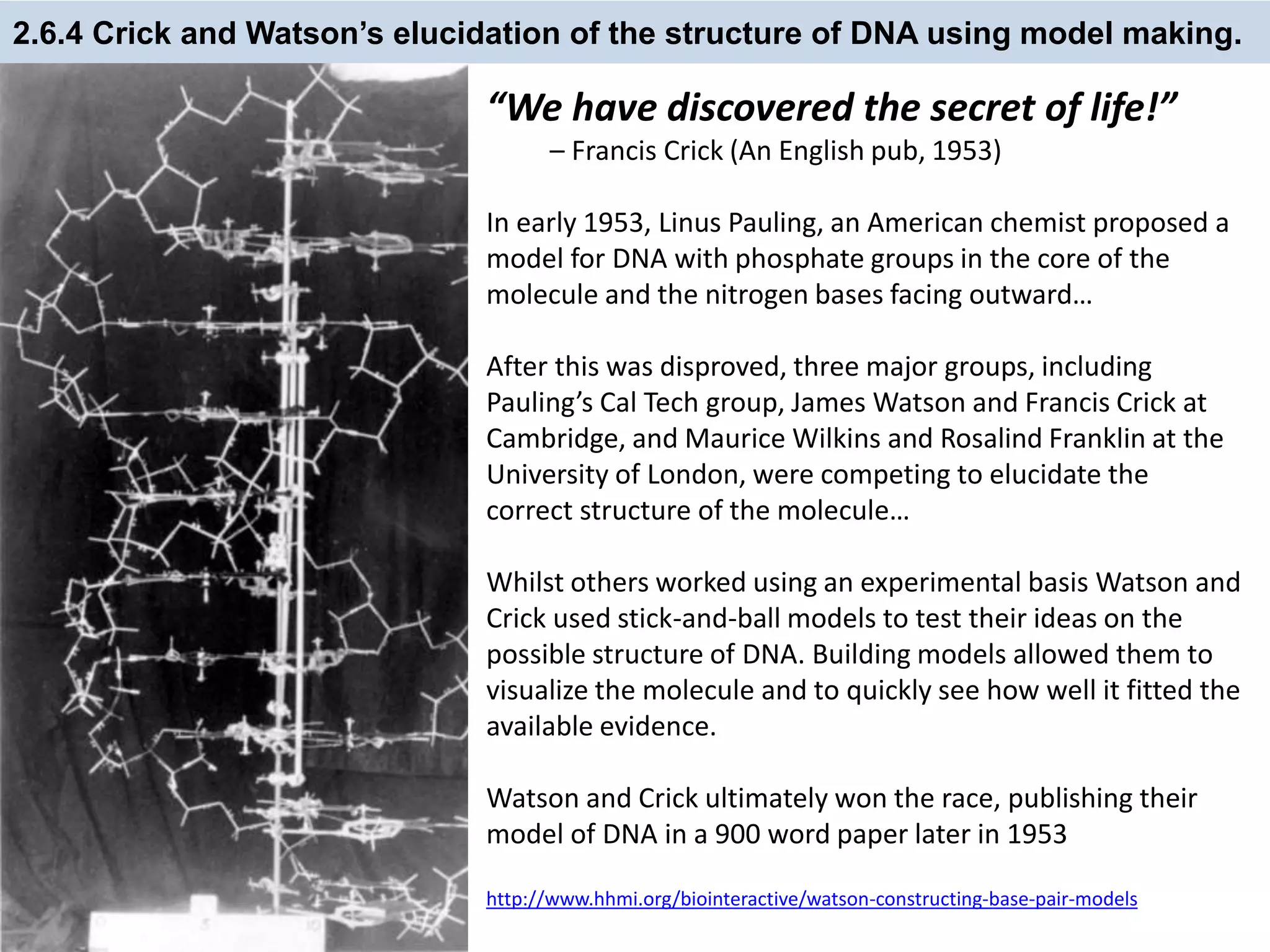 2.6.4 Crick and Watson’s elucidation of the structure of DNA using model making.
“We have discovered the secret of life!”
– Francis Crick (An English pub, 1953)
In early 1953, Linus Pauling, an American chemist proposed a
model for DNA with phosphate groups in the core of the
molecule and the nitrogen bases facing outward…
After this was disproved, three major groups, including
Pauling’s Cal Tech group, James Watson and Francis Crick at
Cambridge, and Maurice Wilkins and Rosalind Franklin at the
University of London, were competing to elucidate the
correct structure of the molecule…
Whilst others worked using an experimental basis Watson and
Crick used stick-and-ball models to test their ideas on the
possible structure of DNA. Building models allowed them to
visualize the molecule and to quickly see how well it fitted the
available evidence.
Watson and Crick ultimately won the race, publishing their
model of DNA in a 900 word paper later in 1953
http://www.hhmi.org/biointeractive/watson-constructing-base-pair-models
 