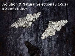Evolution & Natural Selection (5.1-5.2)
IB Diploma Biology
 