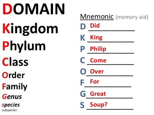 Ib Biology 5 3 Slides Classification Taxonomy