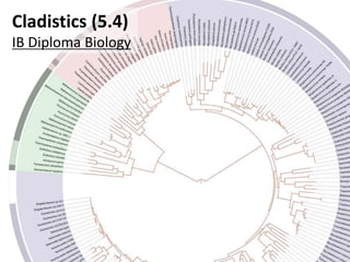 Cladistics (5.4)
IB Diploma Biology
 