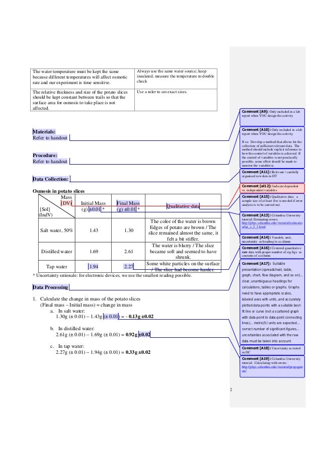 Ib Lab Report Template