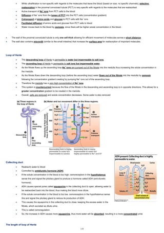 • While ultrafiltration is non-specific with regards to the molecules that leave the blood (based on size, no specific channels), selective
reabsorption in the proximal convoluted tubule (PCT) is very specific with regards to the molecules that are reabsorbed.
• Active transport of Na+
ions from PCT cells to the blood
• Diffusion of Na+
ions from the lumen of PCT into the PCT cells (concentration gradient)
• Cotransport of amino acids and glucose to PCT cells with Na+
ions
• Facilitated diffusion of amino acids and glucose from PCT cells to blood
• Water moves back to the blood by osmosis, since there will be higher solute concentration in the blood.
• The wall of the proximal convoluted tubule is only one cell thick allowing for efficient movement of molecules across a short distance.
• The wall also contains microvilli (similar to the small intestine) that increase the surface area for reabsorption of important molecules.
Loop of Henle
• The descending loop of Henle is permeable to water but impermeable to salt ions.
• The ascending loop of Henle is permeable to salt ions but impermeable water.
• As the filtrate flows up the ascending loop Na+
ions are pumped out of the filtrate into the medulla thus increasing the solute concentration in
the medulla.
• As the filtrate flows down the descending loop (before the ascending loop) water flows out of the filtrate into the medulla by osmosis
following the concentration gradient creating by pumping Na+
ions out of the ascending loop.
• Therefore the medulla has a very high concentration of Na+
ions
• This system is countercurrent because the flow of the filtrate in the descending and ascending loop is in opposite directions. This allows for a
greater concentration gradient to be created in the medulla.
• Overall, salts are removed and solute concentration decreases. Some water is also removed
Collecting duct
• Reabsorb water to blood
• Controlled by antidiuretic hormone (ADH)
• If the solute concentration in the blood is too high, osmoreceptors in the hypothalamus
sense this and signal the pituitary gland to produce a hormone called ADH (anti-diuretic
hormone).
• ADH causes special pores called aquaporins in the collecting duct to open, allowing water to
be reabsorbed back into the blood, thus making the blood more dilute.
• If the solute concentration in the blood is too low, osmoreceptors in the hypothalamus sense
this and signal the pituitary gland to reduce its production of ADH.
• This causes the aquaporins in the collecting duct to close, keeping the excess water in the
filtrate, which excreted as dilute urine.
• This is called osmoregulation.
• So, the increase in ADH causes more aquaporins, thus more water will be absorbed, resulting in a more concentrated urine
The length of loop of Henle
129
 