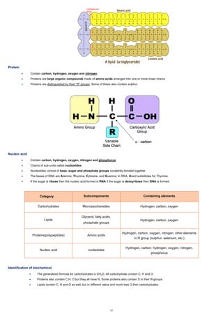 Protein
• Contain carbon, hydrogen, oxygen and nitrogen
• Proteins are large organic compounds made of amino acids arranged into one or more linear chains
• Proteins are distinguished by their “R” groups. Some of these also contain sulphur
Nucleic acid
• Contain carbon, hydrogen, oxygen, nitrogen and phosphorus
• Chains of sub-units called nucleotides
• Nucleotides consist of base, sugar and phosphate groups covalently bonded together
• The bases of DNA are Adenine, Thymine, Cytosine, and Guanine; In RNA, Uracil substitutes for Thymine
• If the sugar is ribose then the nucleic acid formed is RNA if the sugar is deoxyribose then DNA is formed
Category Subcomponents Containing elements
Carbohydrates Monosaccharaides Hydrogen, carbon, oxygen
Lipids
Glycerol, fatty acids,
phosphate groups
Hydrogen, carbon, oxygen
Proteins(polypeptides) Amino acids Hydrogen, carbon, oxygen, nitrogen, other elements
in R group (sulphur, selenium, etc.)
Nucleic acid nucleotides Hydrogen, carbon, hydrogen, oxygen, nitrogen,
phosphorus
Identification of biochemical
• The generalized formula for carbohydrates is CH2O. All carbohydrate contain C, H and O
• Proteins also contain C,H, O but they all have N. Some proteins also contain S in their R-groups
• Lipids contain C, H and O as well, but in different ratios and much less O then carbohydrates.
16
 