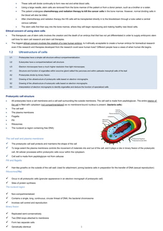 IB Biology Notes | PDF