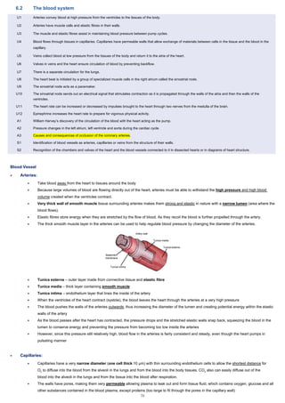 IB Biology Notes | PDF