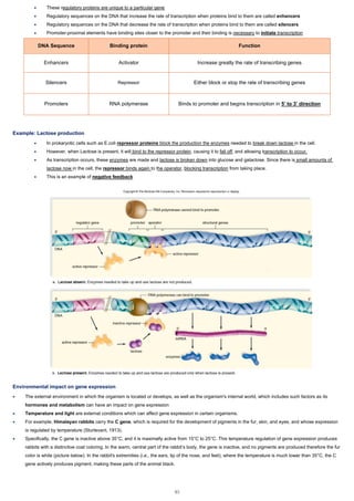 IB Biology Notes | PDF
