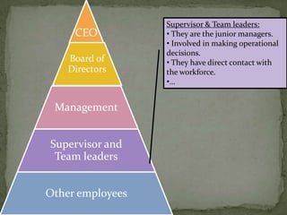 Leads the team of directors.