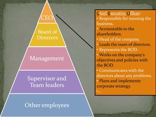 Chief Executive Officer: Responsible for running the business.